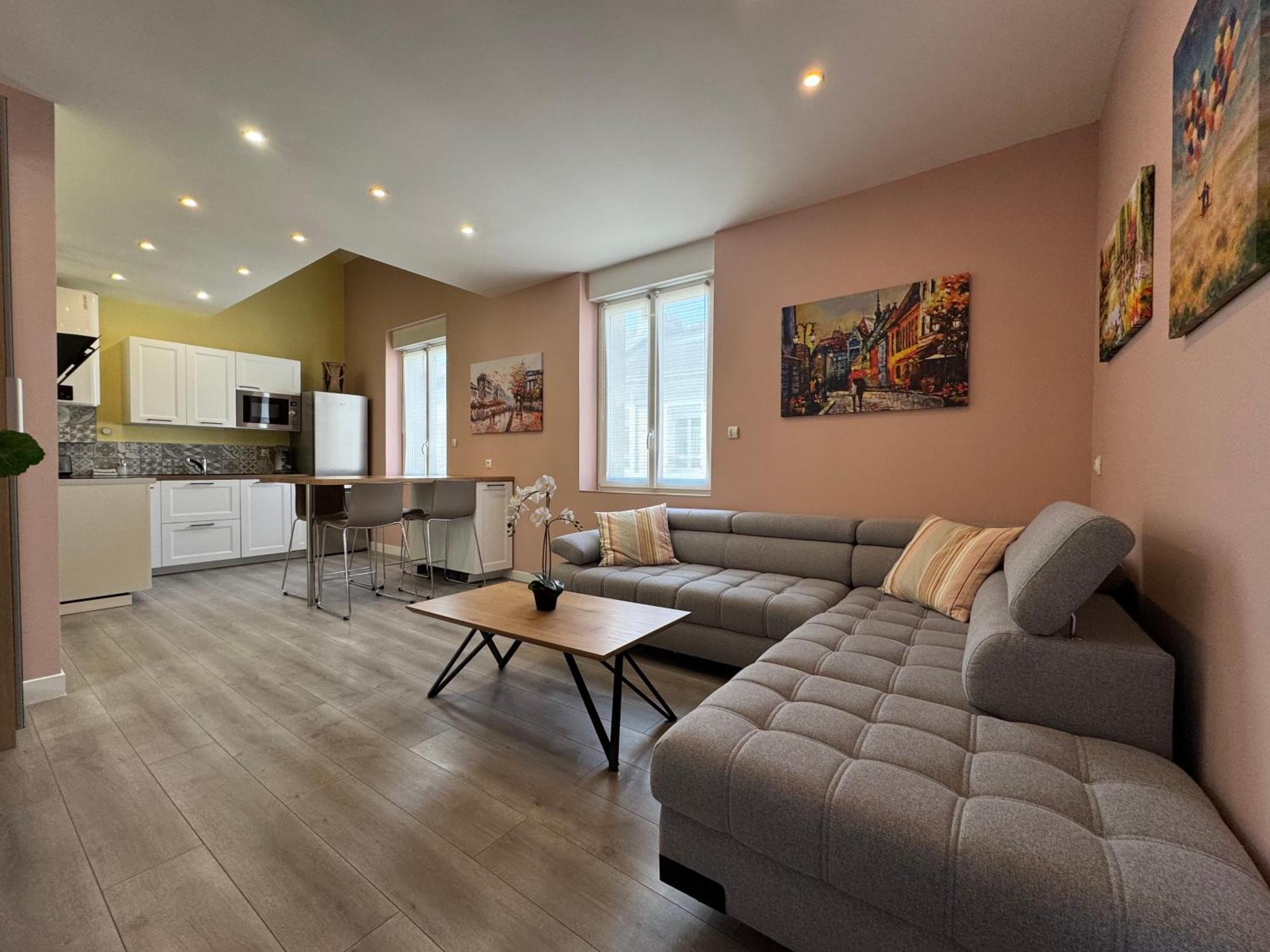 70M2 Climatise - Parking Prive - Lycee Roosevelt - Reims Arena Apartment Екстериор снимка
